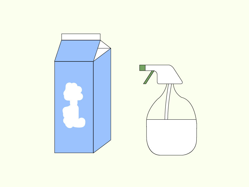 牛乳とスプレーの写真