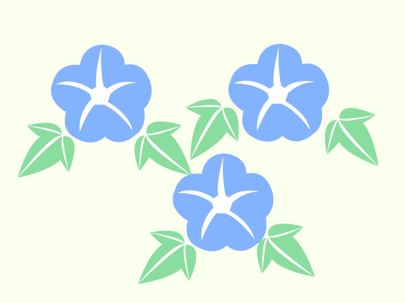 アサガオのイラスト