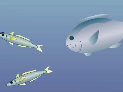 森林伐採の画像