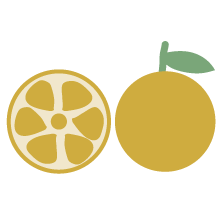 オレンジの可食部