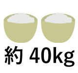 約40kg